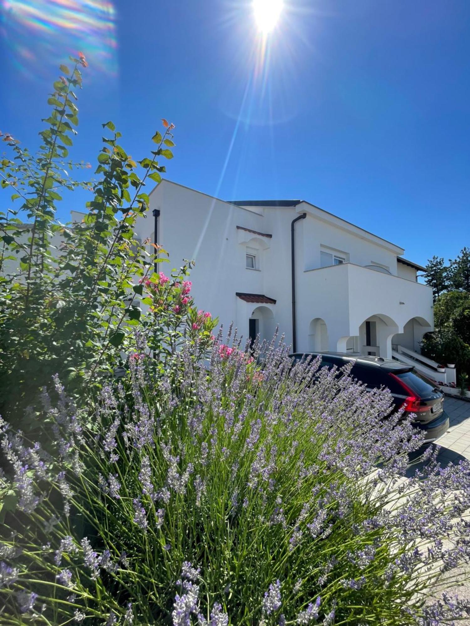 Guest House Sulek Punat Εξωτερικό φωτογραφία